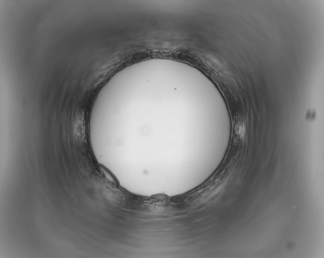 X0000090701252200708101434