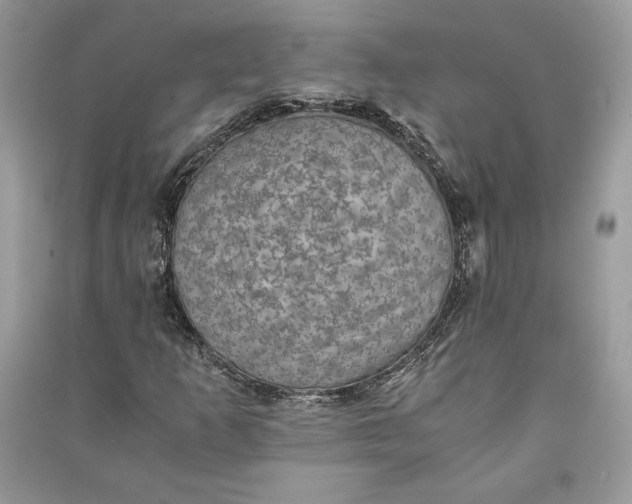 X0000090701253200708101434