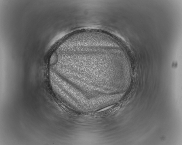 X0000090701255200708101434