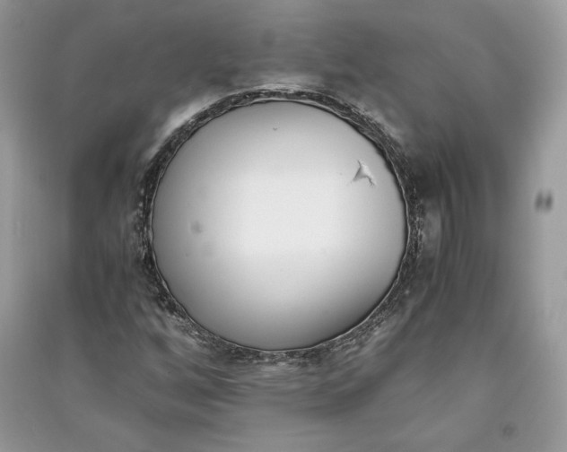 X0000090701256200708101434