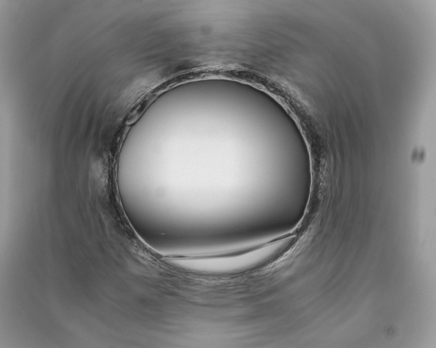 X0000090701257200708101434