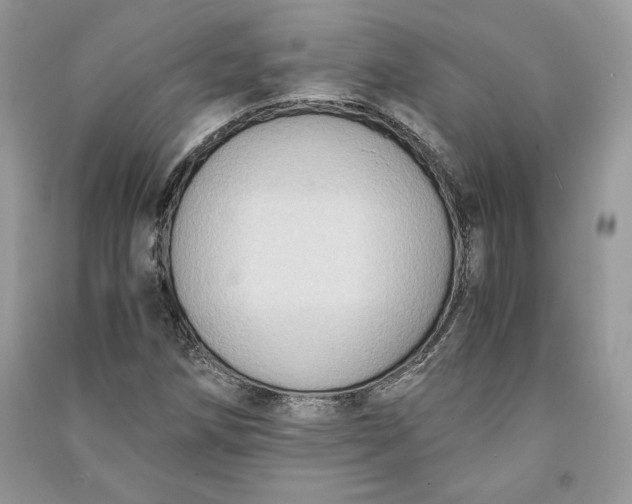 X0000090701258200708101434