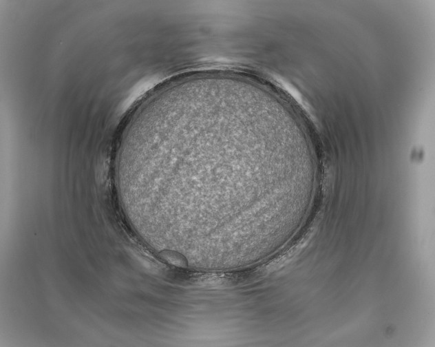 X0000090701259200708101434