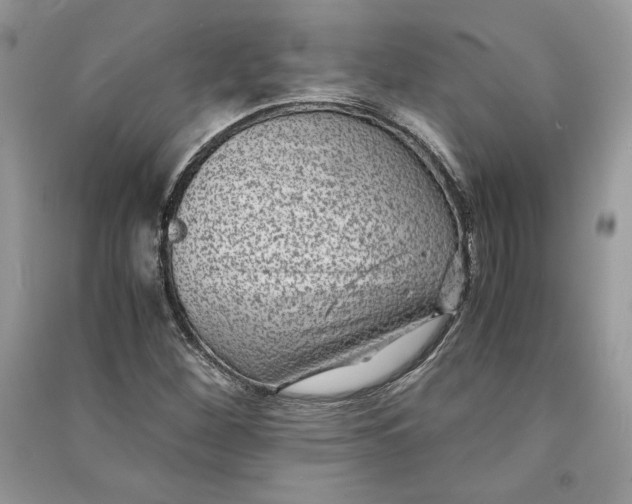 X0000090701260200708101434