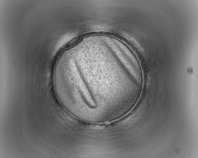 X0000090701261200708101434