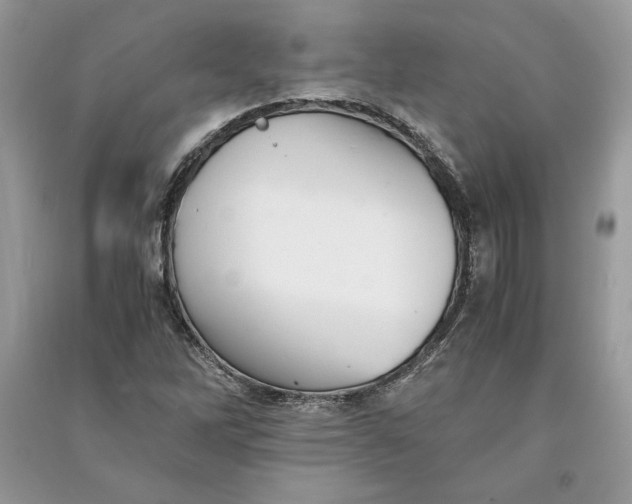 X0000090701262200708101434