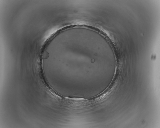 X0000090701263200708101434