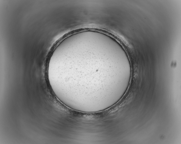 X0000090701264200708101434