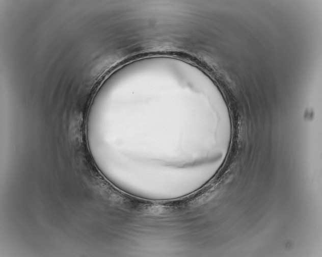 X0000090701265200708101434