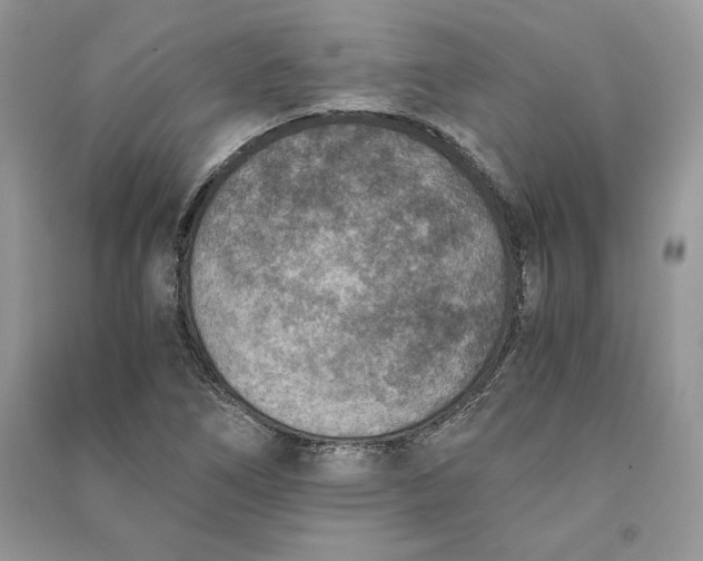 X0000090701266200708101434