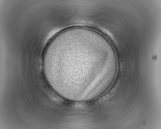 X0000090701267200708101434