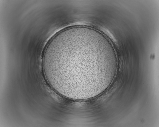 X0000090701268200708101434