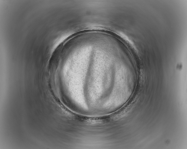 X0000090701269200708101434