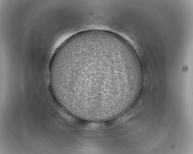 X0000090701271200708101434