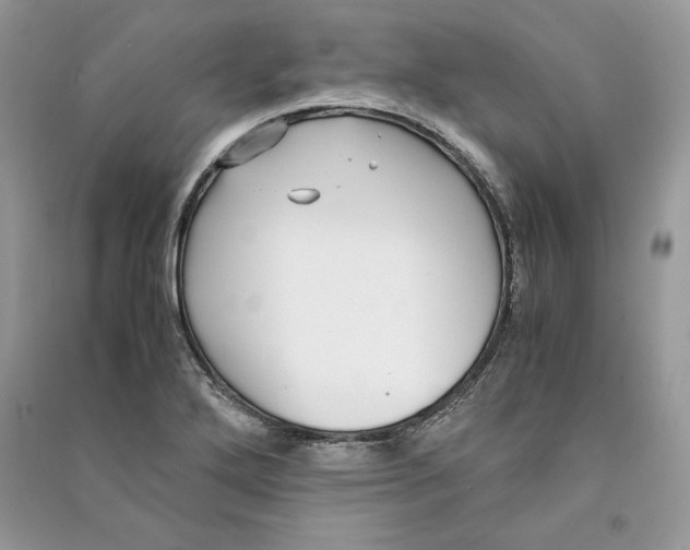 X0000090701272200708101434