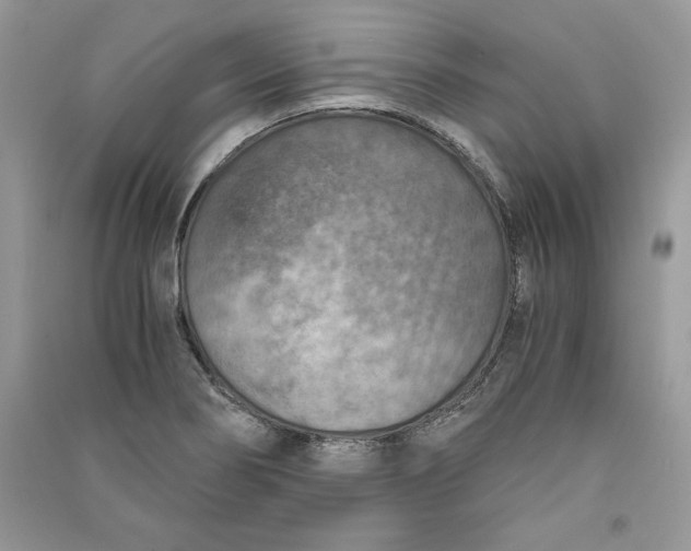 X0000090701274200708101434