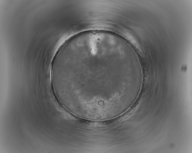 X0000090701275200708101434