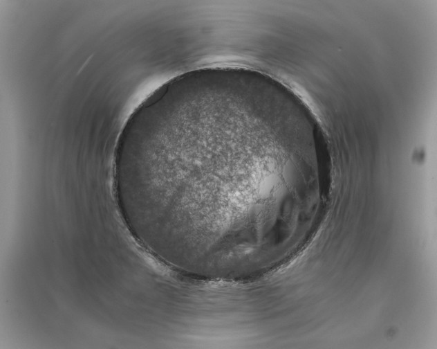 X0000090701277200708101434