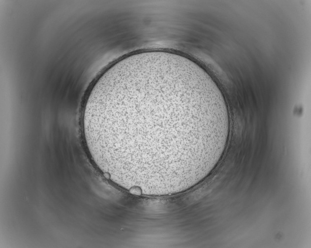 X0000090701278200708101434