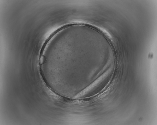 X0000090701279200708101434