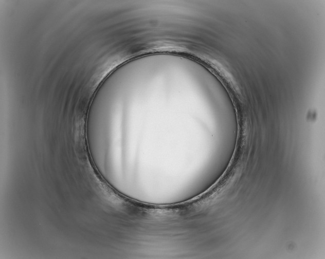 X0000090701281200708101434