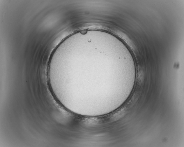 X0000090701282200708101434