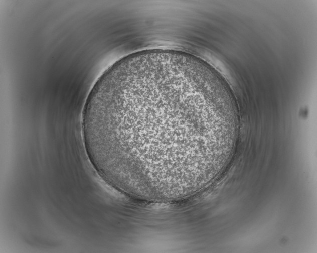 X0000090701283200708101434