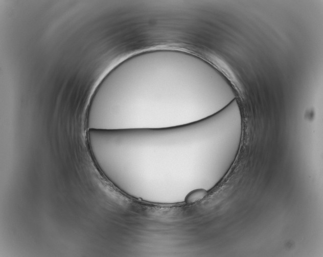 X0000090701284200708101434