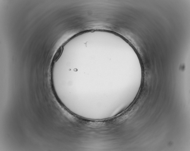X0000090701285200708101434