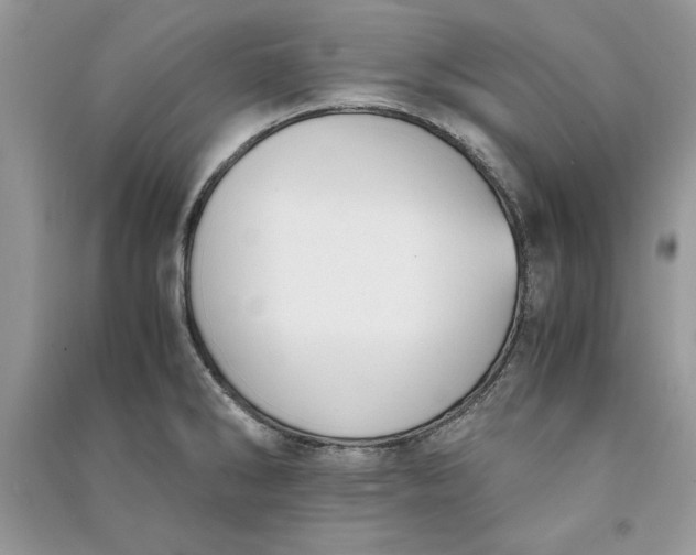 X0000090701286200708101434