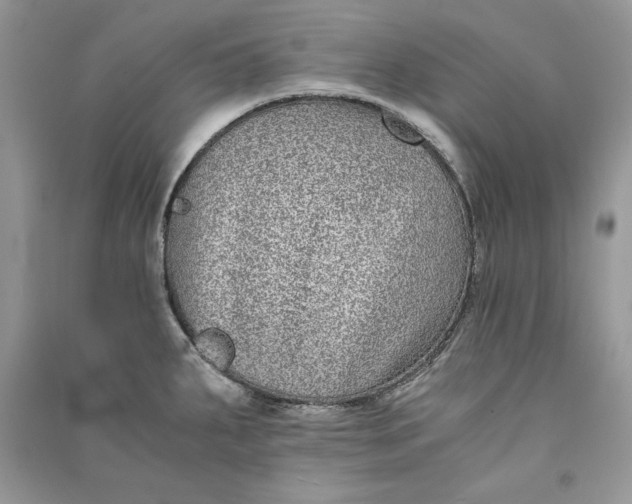 X0000090701287200708101434