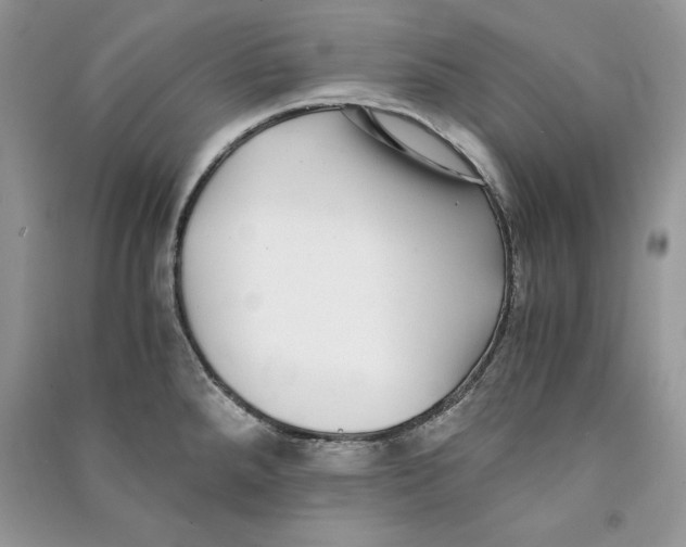 X0000090701288200708101434
