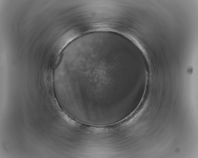 X0000090701289200708101434