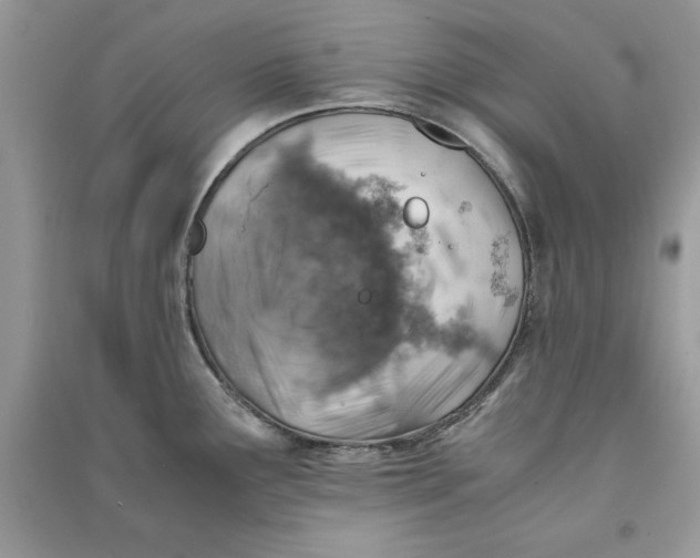 X0000090701291200708101434