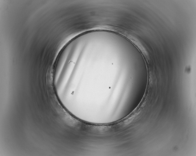 X0000090701292200708101434