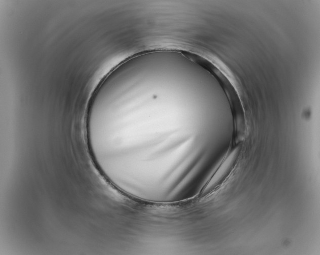 X0000090701293200708101434