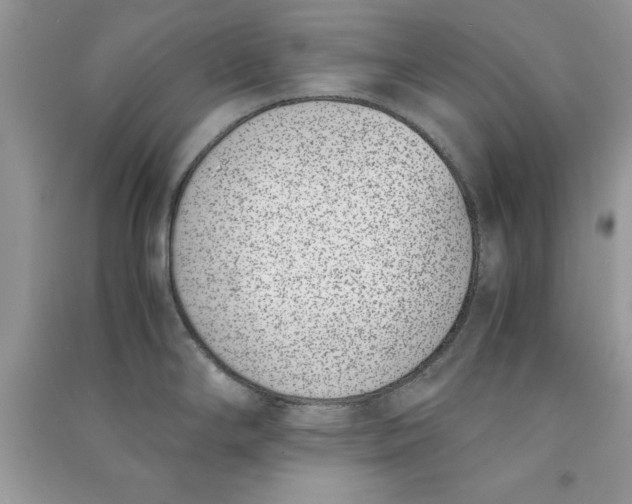 X0000090701294200708101434