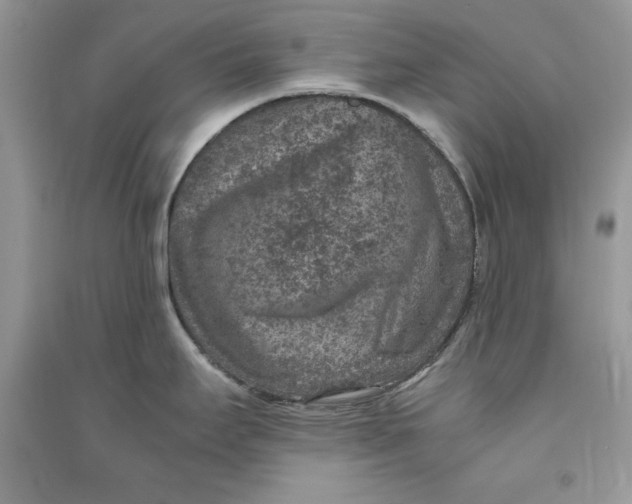 X0000090701295200708101433