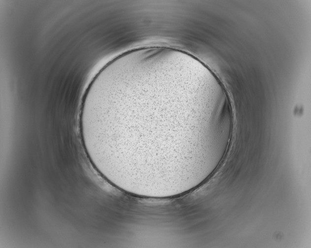 X0000090701296200708101433