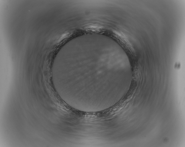X0000090701297200708101433