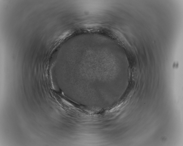 X0000090701298200708101433