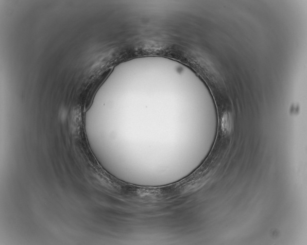 X0000090701299200708101433