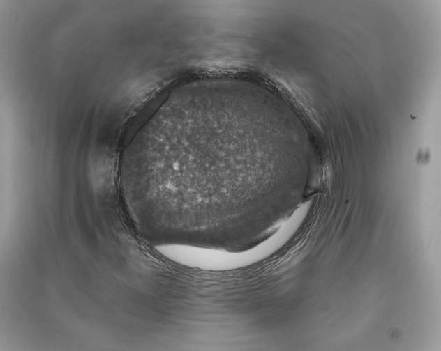 X0000090701300200708101433