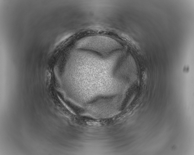 X0000090701302200708101433