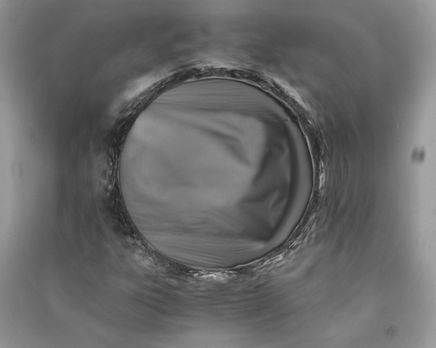 X0000090701303200708101433