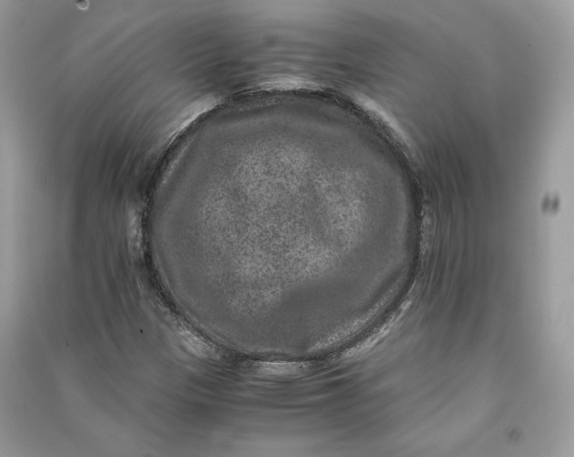 X0000090701305200708101433