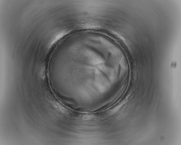 X0000090701306200708101433