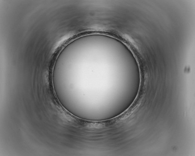X0000090701307200708101433