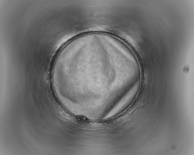 X0000090701308200708101433