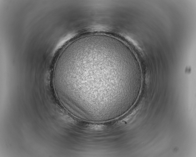 X0000090701309200708101433